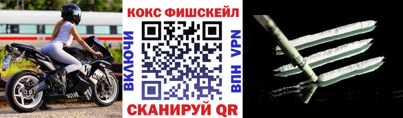 COCAIN Fish Scale Снежинск