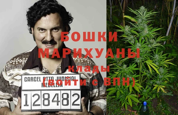 ешки Протвино