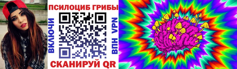 как найти   Снежинск  OMG ссылки  Псилоцибиновые грибы Cubensis 