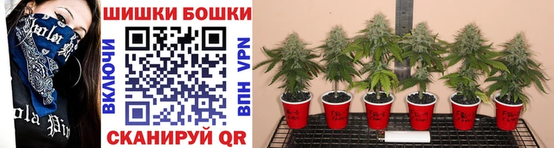 купить наркотик  дарк нет официальный сайт  Шишки марихуана сатива  Снежинск 